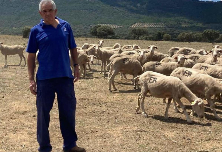 Mas ganado inmovilizado, sin pasto por otro pretexto sanitario Mas ganado inmovilizado, sin pasto por otro pretexto sanitario