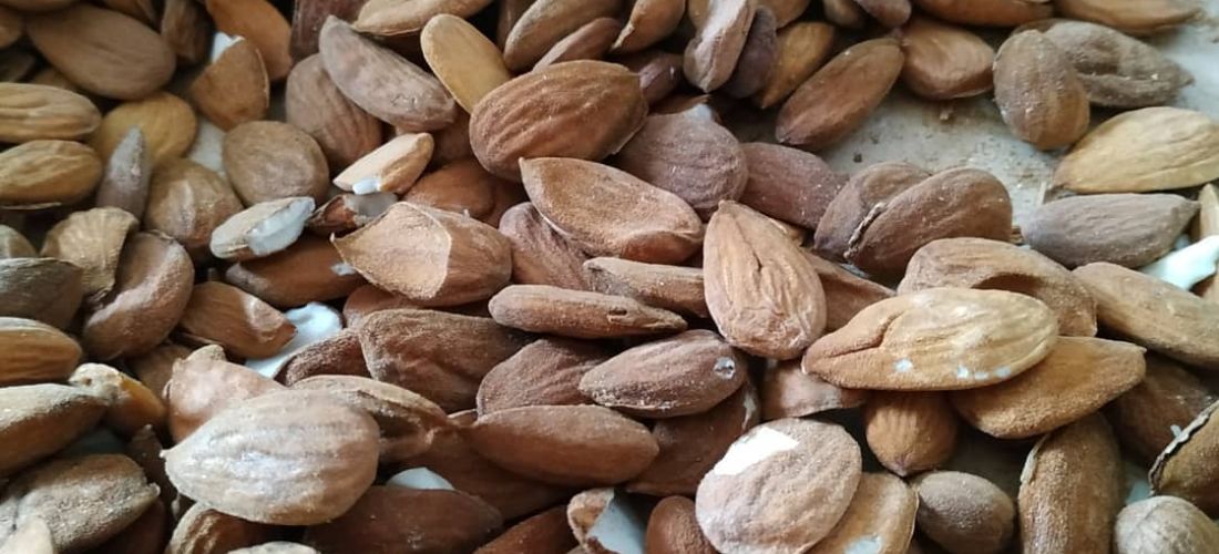 almendras-fruta-del-toro-e27b3b5f74.jpg