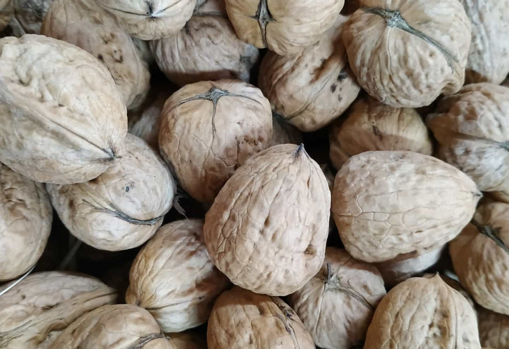 nueces2-6b3e7ecd9b.jpg