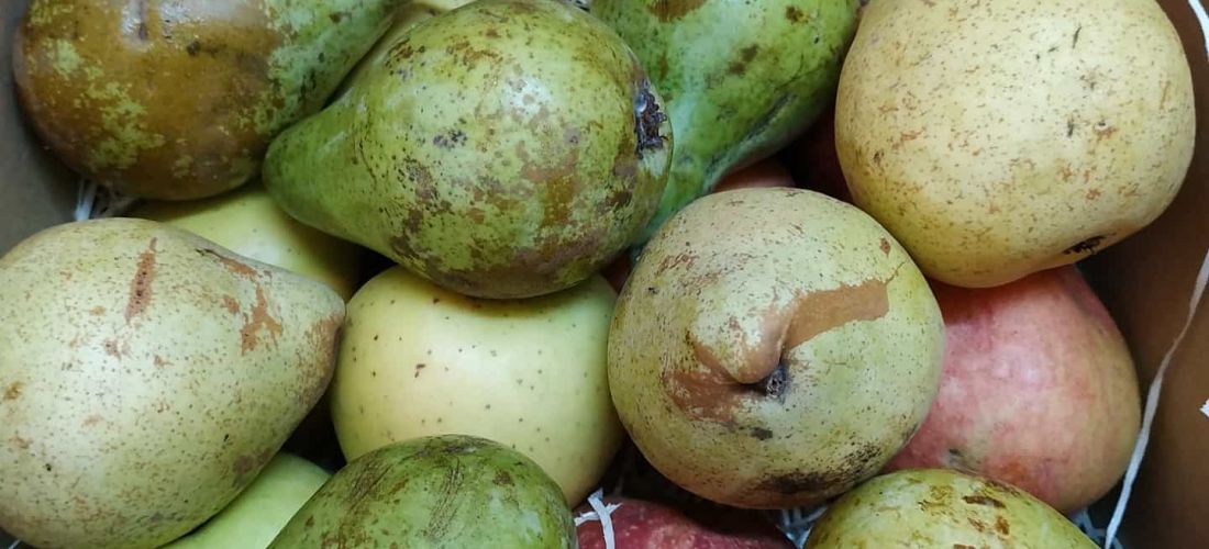 caja-de-frutas-384c1d4d47.jpg