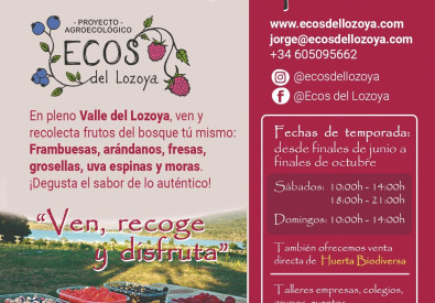 Frutos del bosque