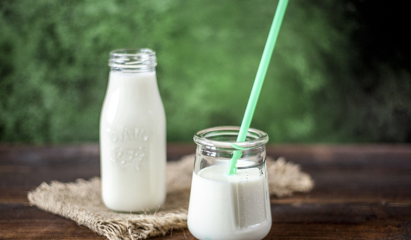 Leche y yogures
