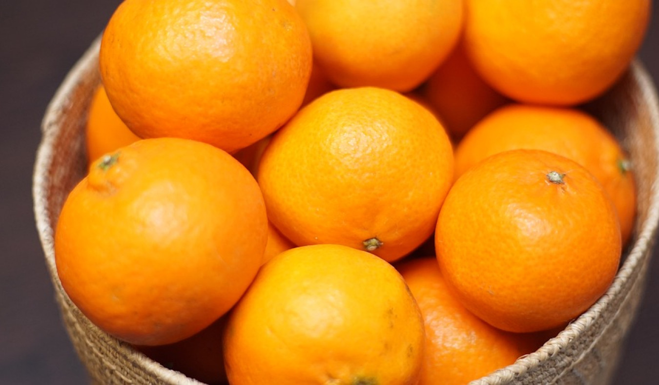 Cestas de naranjas