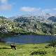 Asturias